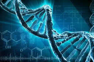 Разработаны ДНК-нанопроводники, которые могут быть использованы в создании генетических компьютеров